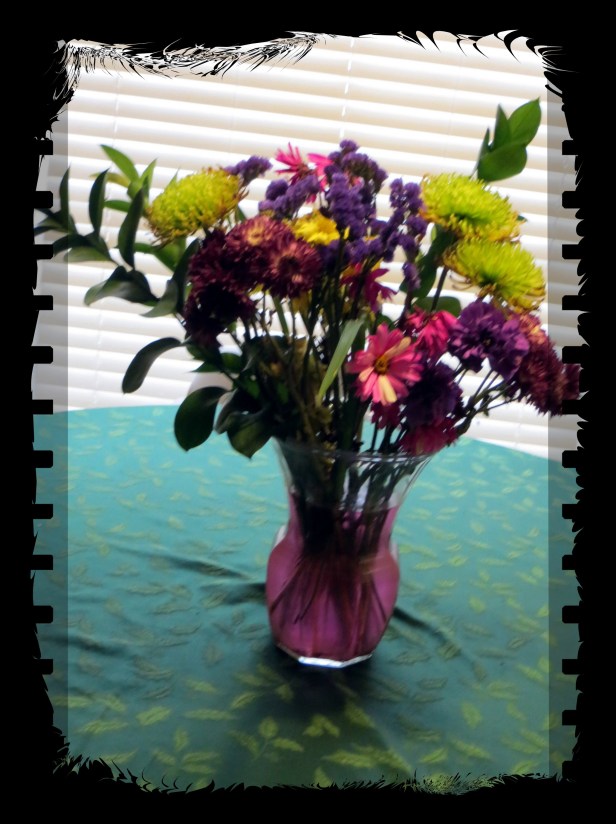 Photo Artist Susan Robertson (25).JPG