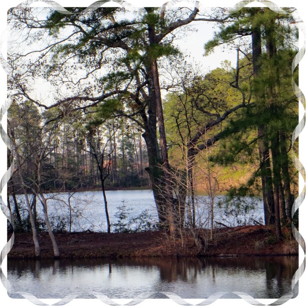 Photo Artist Susan Robertson (5).JPG