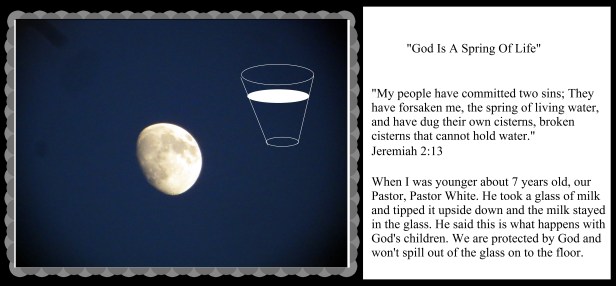 © Photo Artist Susan Ruth Robertson 090025006100 001 - Copy.JPG