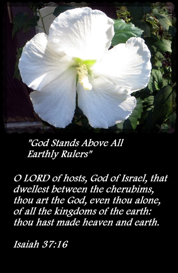 © Photo Artist Susan Ruth Robertson 090025006100 001 - Copy.JPG