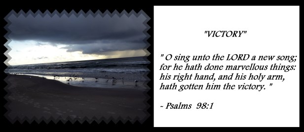 © Photo Artist Susan Ruth Robertson 090025006100 001 - Copy.JPG