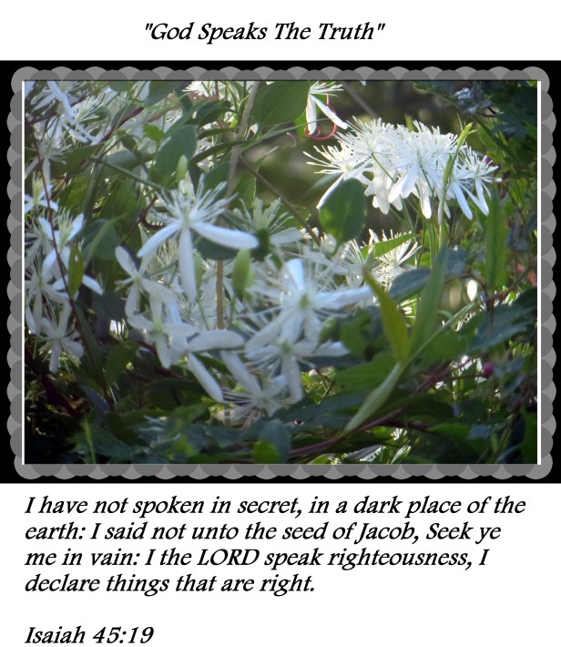 © Photo Artist Susan Ruth Robertson 090025006100 008 - Copy.JPG