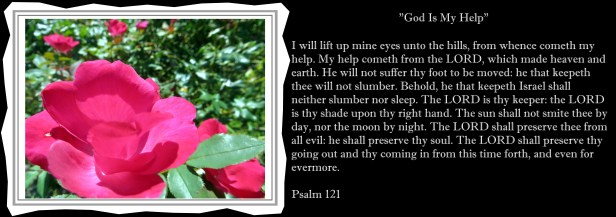 © Photo Artist Susan Ruth Robertson 090025006100 012 - Copy.JPG