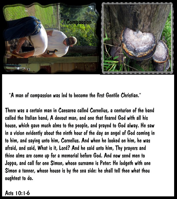 © Photo Artist Susan Ruth Robertson 090025006100 012.JPG