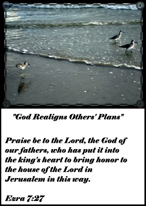 © Photo Artist Susan Ruth Robertson 090025006100 013 - Copy.JPG