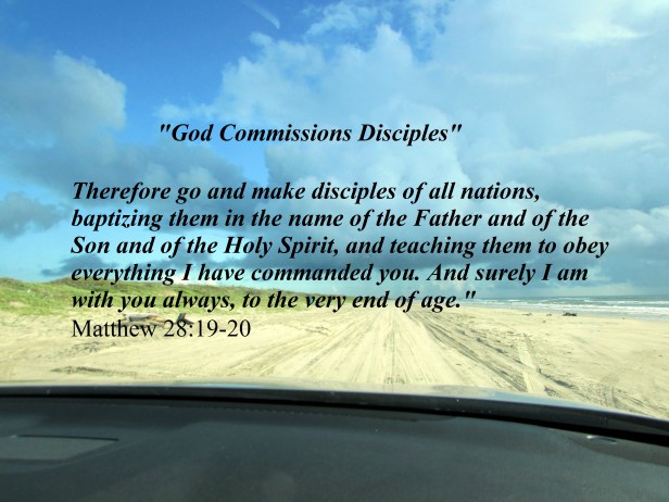 © Photo Artist Susan Ruth Robertson 090025006100 015 - Copy.JPG