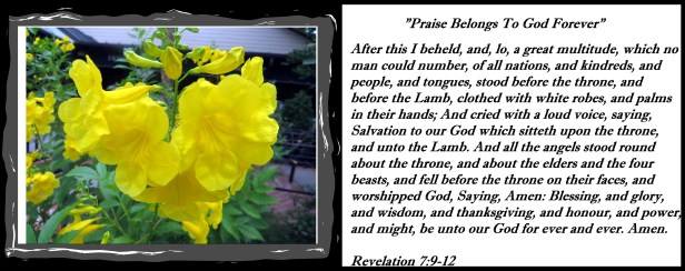 © Photo Artist Susan Ruth Robertson 090025006100 018 - Copy.JPG