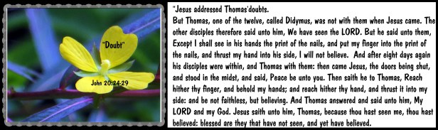 © Photo Artist Susan Ruth Robertson 090025006100 020 - Copy.JPG