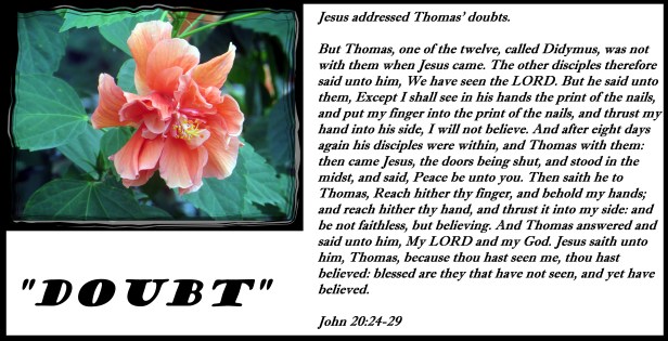 © Photo Artist Susan Ruth Robertson 090025006100 021 - Copy.JPG