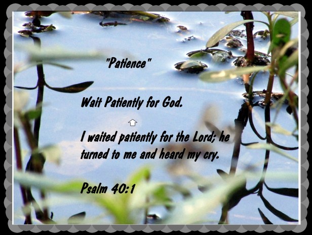 photo-artist-susan-ruth-robertson-090025006100-030-copy