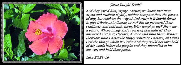 © Photo Artist Susan Ruth Robertson 090025006100 032 - Copy.JPG