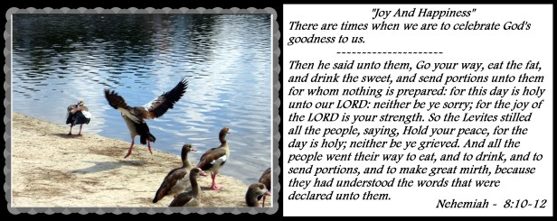 © Photo Artist Susan Ruth Robertson 090025006100 038 - Copy.JPG