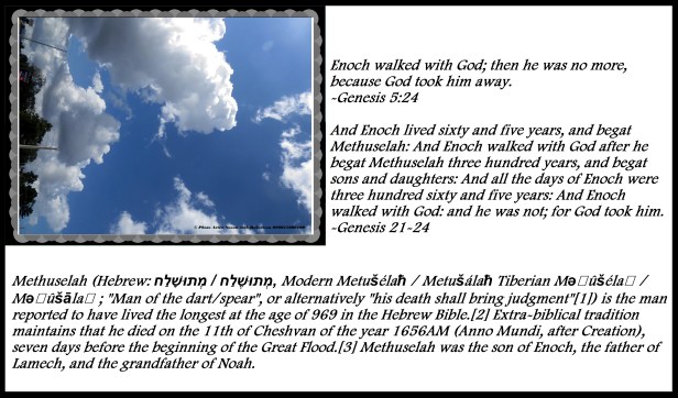 © Photo Artist Susan Ruth Robertson 090025006100 047 - Copy.JPG