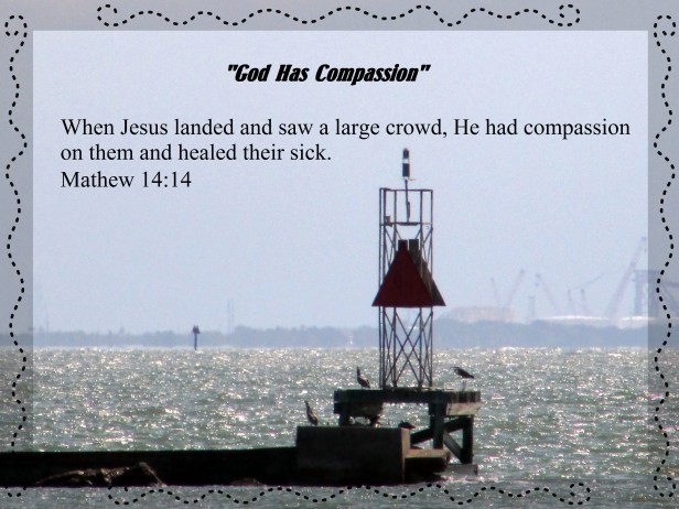 © Photo Artist Susan Ruth Robertson 090025006100 137.JPG