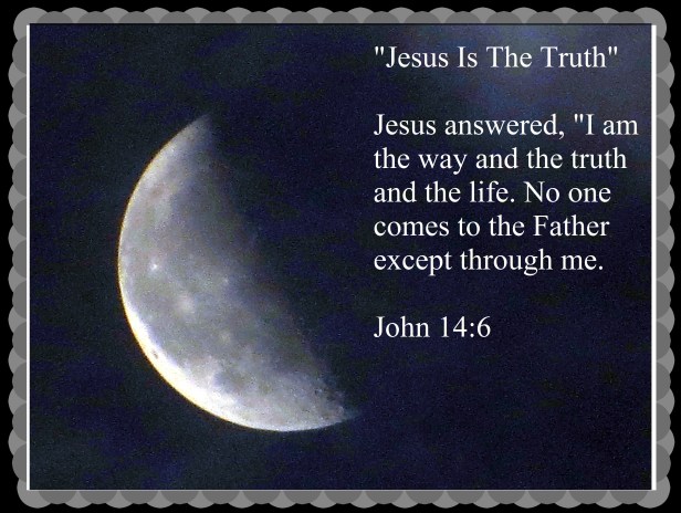 © Photo Artist Susan Ruth Robertson 090025006100 (168) - Copy.JPG