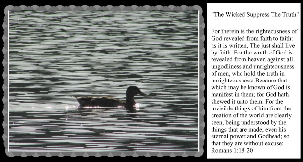 © Photo Artist Susan Ruth Robertson 090025006100 (33) - Copy.JPG