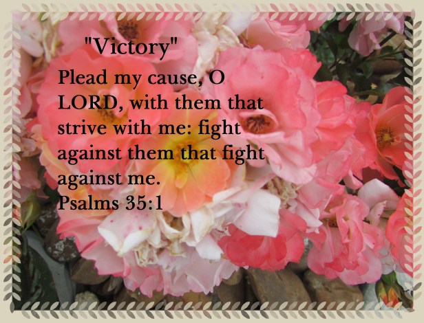 © Photo Artist Susan Ruth Robrtson 090025006100 004 - Copy.JPG