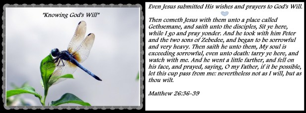 © Photo Artist Walter J. Robertson Sr. 050025004500 028 - Copy.JPG