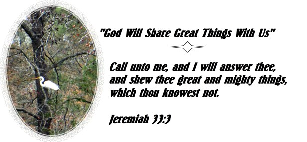 Photo Artist Susan Robertson (22) - Copy.JPG