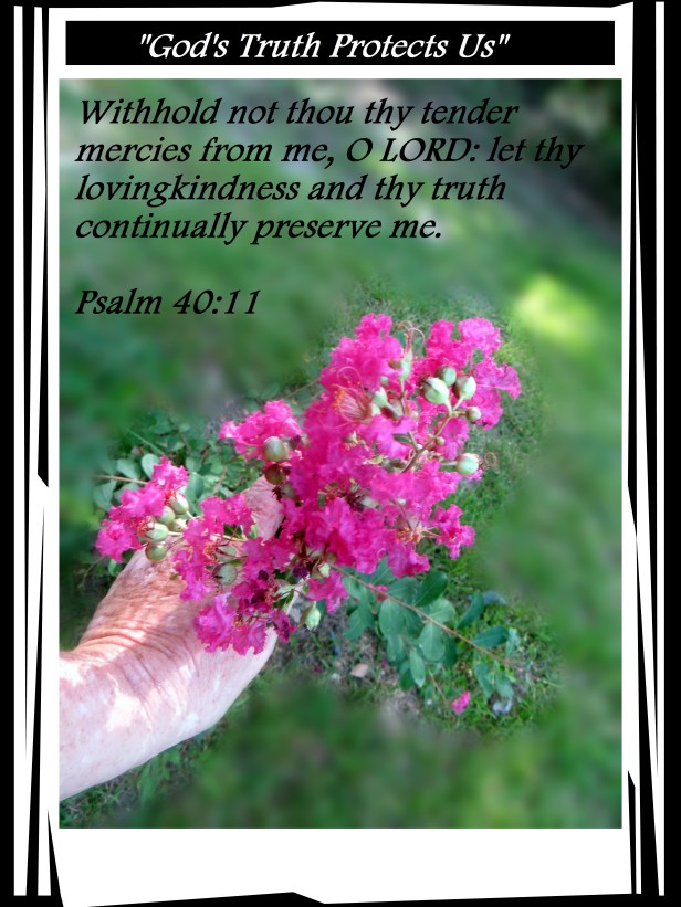 SX260 HS ©Photo Artist Susan Ruth Robertson 090025006100 010 - Copy.jpg