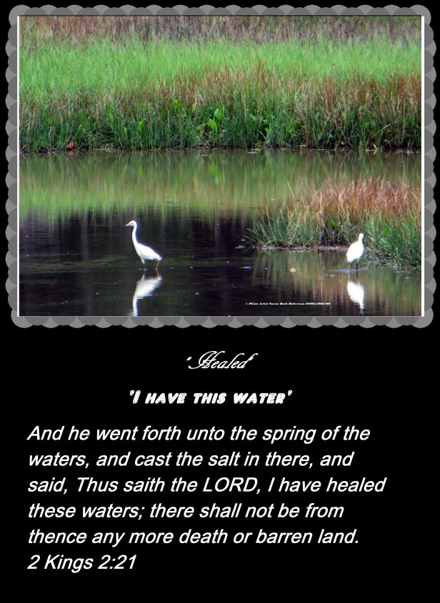 © Photo Artist Susan Ruth Robertson 090025006100 006 - Copy.JPG