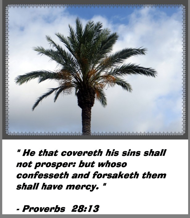 © Photo Artist Susan Ruth Robertson 090025006100 009 - Copy.JPG