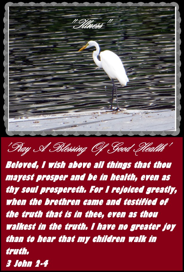 © Photo Artist Susan Ruth Robertson 090025006100 011 - Copy.JPG