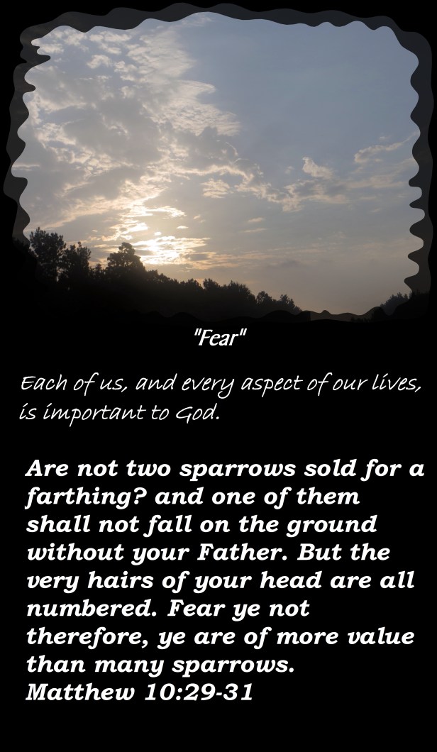 © Photo Artist Susan Ruth Robertson 090025006100 011 - Copy.JPG