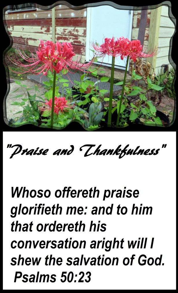 © Photo Artist Susan Ruth Robertson 090025006100 013 - Copy.JPG