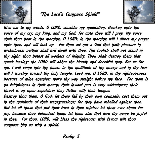 © Photo Artist Susan Ruth Robertson 090025006100 013 - Copy.JPG