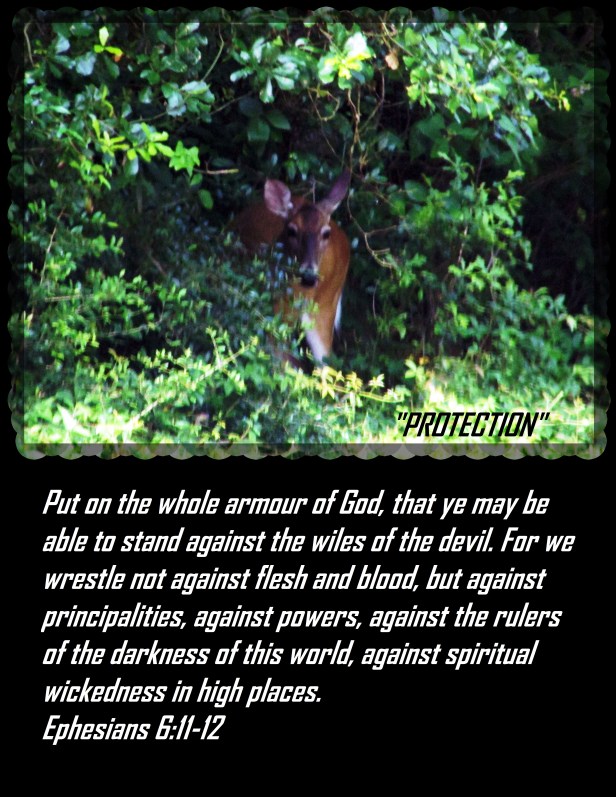 © Photo Artist Susan Ruth Robertson 090025006100 017 - Copy.JPG