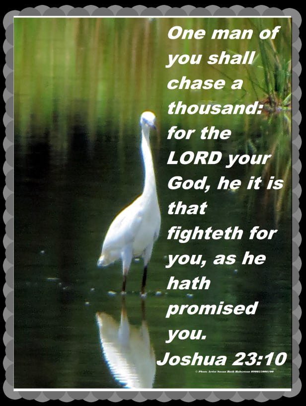 © Photo Artist Susan Ruth Robertson 090025006100 024 - Copy.JPG