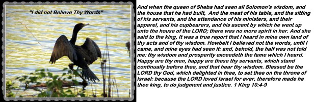 © Photo Artist Susan Ruth Robertson 090025006100 029 - Copy.JPG