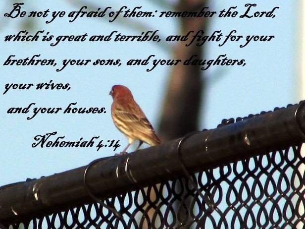 photo-artist-susan-ruth-robertson-090025006100-033-copy