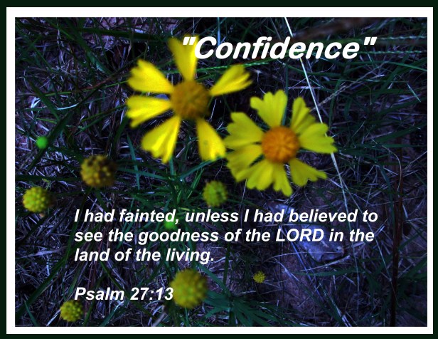 © Photo Artist Susan Ruth Robertson 090025006100 043 - Copy.JPG