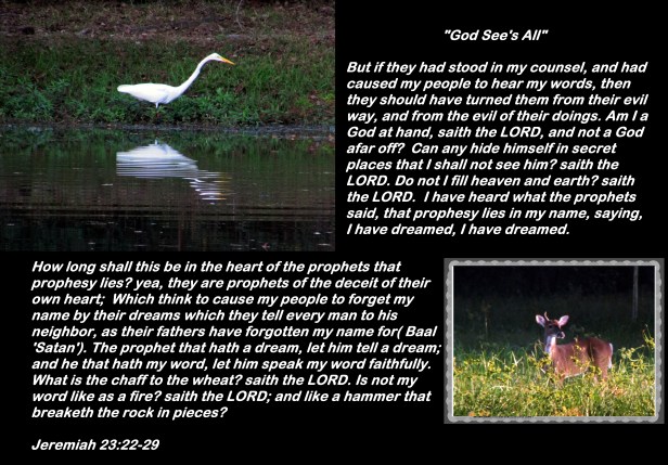 © Photo Artist Susan Ruth Robertson 090025006100 047 - Copy.JPG