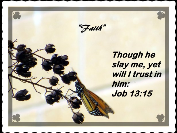 © Photo Artist Susan Ruth Robertson 090025006100 053 - Copy.JPG