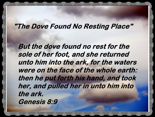 photo-artist-susan-ruth-robertson-090025006100-075-copy