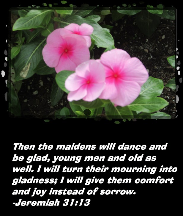 © Photo Artist Susan Ruth Robrtson 090025006100 002 - Copy.JPG