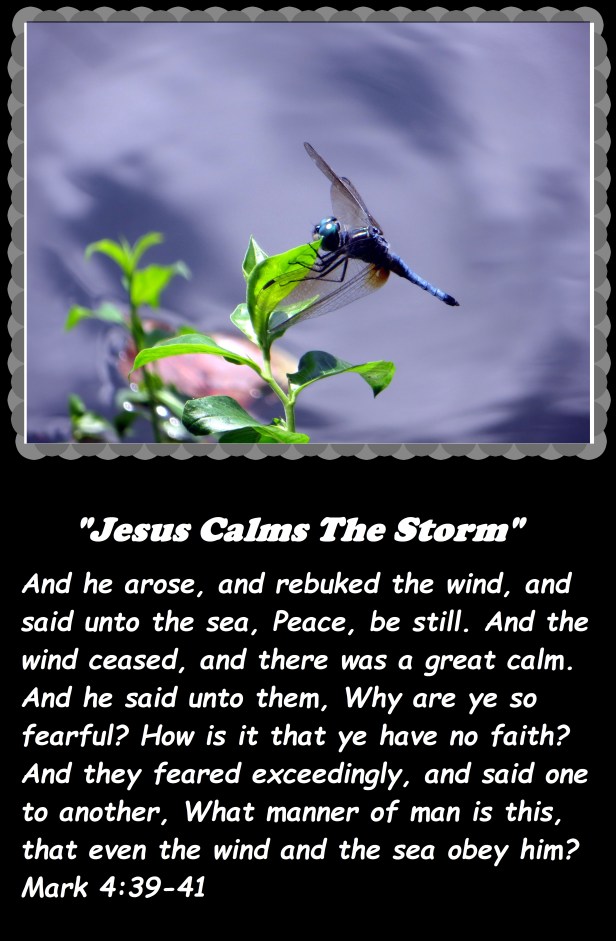 © Photo Artist Walter J. Robertson Sr. 050025004500 034 - Copy.JPG