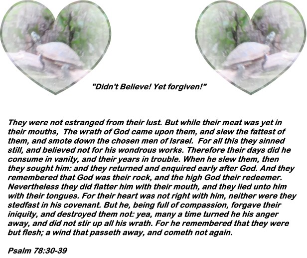 sx400is-photo-artist-susan-ruth-robertson-090025006100-004-copy