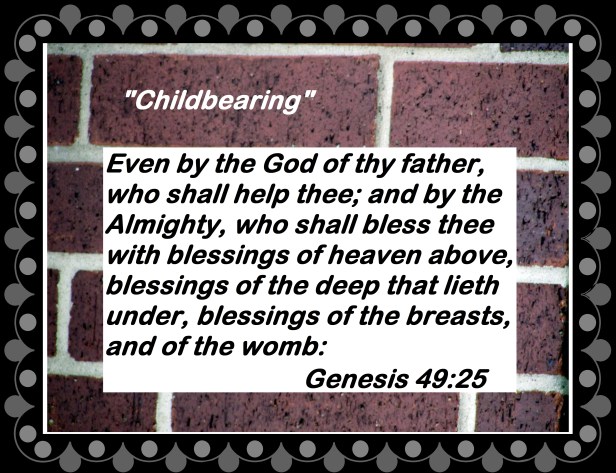 © Photo Artist Susan Ruth Robertson 013 - Copy.JPG