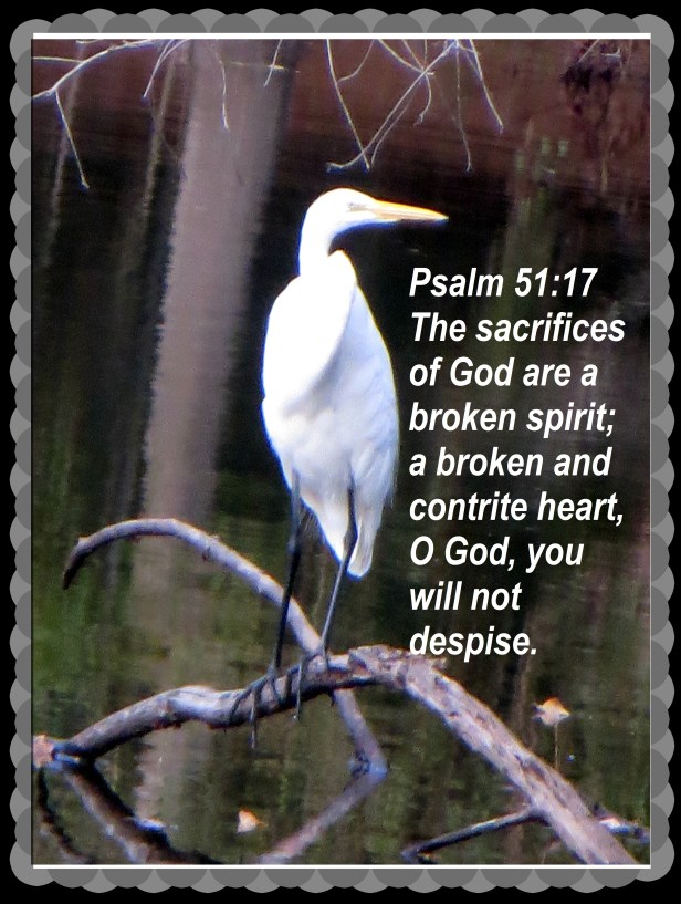 © Photo Artist Susan Ruth Robertson 090025006100 004 - Copy.JPG