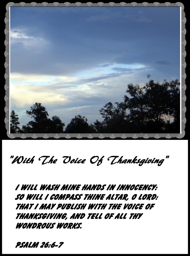 © Photo Artist Susan Ruth Robertson 090025006100 007 - Copy.JPG