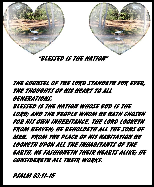 © Photo Artist Susan Ruth Robertson 090025006100 008 - Copy.JPG