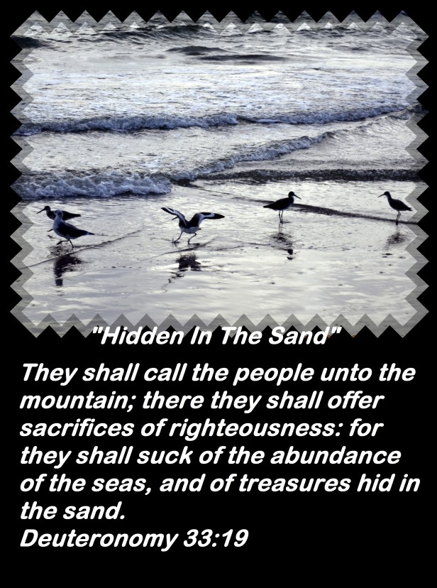 © Photo Artist Susan Ruth Robertson 090025006100 011 - Copy.JPG