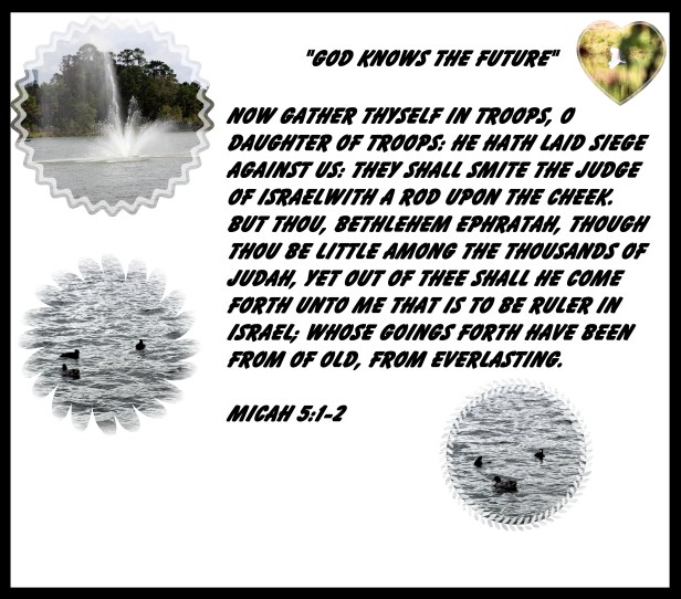 © Photo Artist Susan Ruth Robertson 090025006100 013 - Copy.JPG