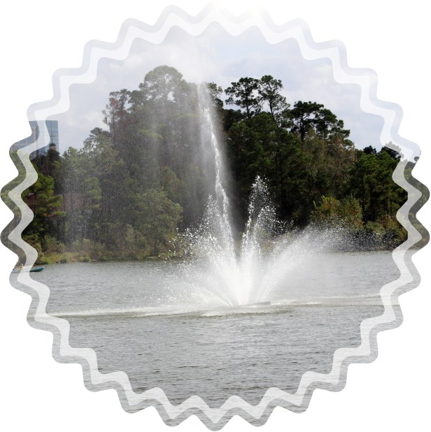 © Photo Artist Susan Ruth Robertson 090025006100 013.JPG