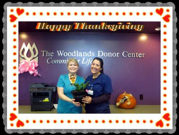 © Photo Artist Susan Ruth Robertson 090025006100 014 - Copy.JPG