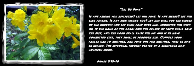 © Photo Artist Susan Ruth Robertson 090025006100 016 - Copy.JPG